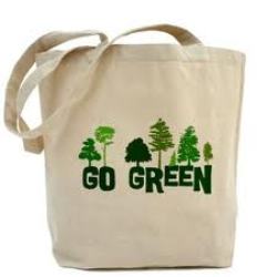 Do you take reusable shopping bags with you to the supermarket?
